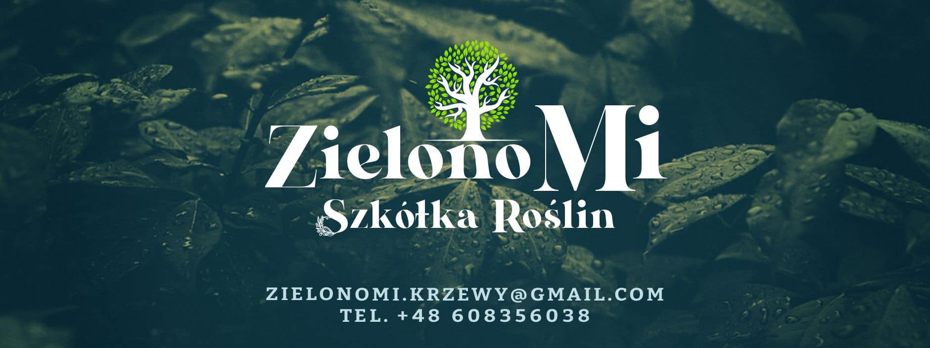 Zielono mi Marynin